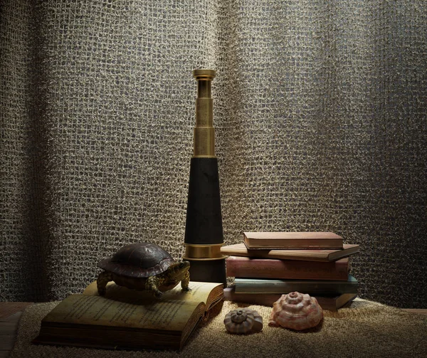 Seashell's in interior scene with turtle, books and telescope concept photo background — Stock Photo, Image