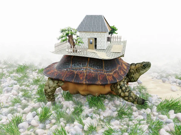 Żółw z domu zabawki z papieru nieruchomości biznes koncepcja Zdjęcia — Zdjęcie stockowe