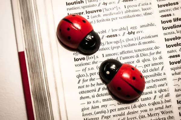 iki oyuncak ladybugs bir sözlük kelime çeviri üzerinde İngilizce'den İtalyanca'seviyorum.