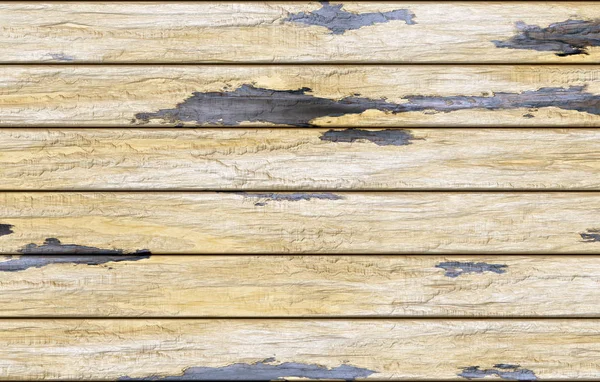 Altın sarısı eski kurulları ile eski püskü boya solmuş. bir ol yerde