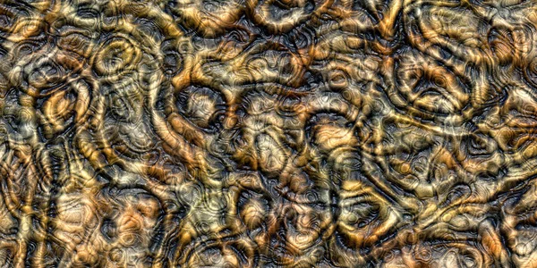 Bir ağaç lifleri ve topografya ile lüks doku