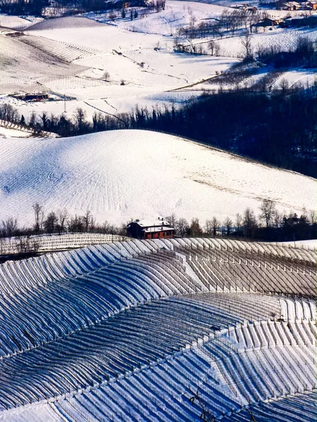 Neve sui vigneti e le colline Langhe Piemonte Italia — 스톡 사진