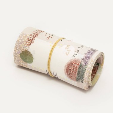 Mısır pound, beyaz arka plan üzerinde izole rulo
