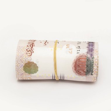Mısır pound, beyaz arka plan üzerinde izole rulo