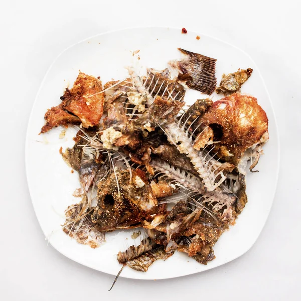 Huesos de pescado después de la comida, aislados sobre fondo blanco —  Fotos de Stock