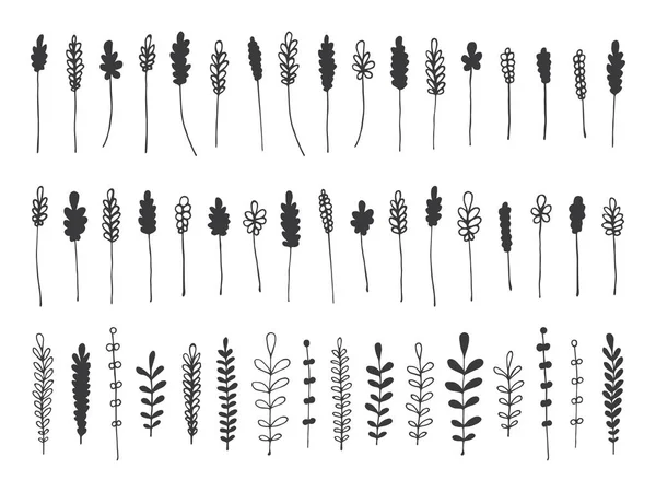 Hand drawn botanical decorative design elements — Stock Vector