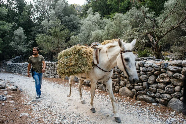 Uomo con passeggiata a cavallo sulla strada di montagna — Foto Stock