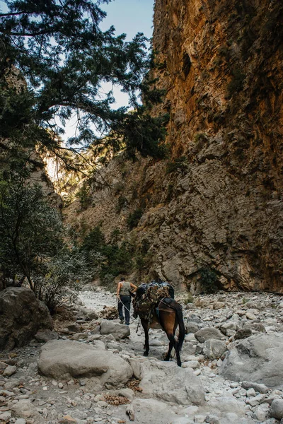 Man with horse walking on mountain road