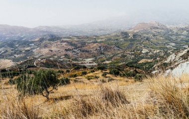 ağaçlar ve dağlar tepeler