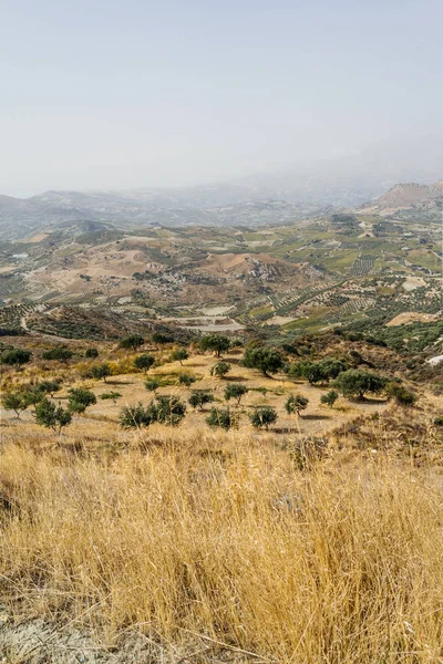 ağaçlar ve dağlar tepeler