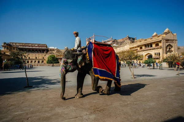 Man rider elefant i city — Stockfoto