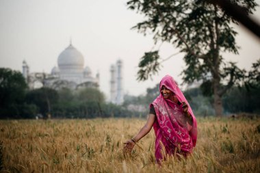 Taj Mahal ile arka planda duran kadın