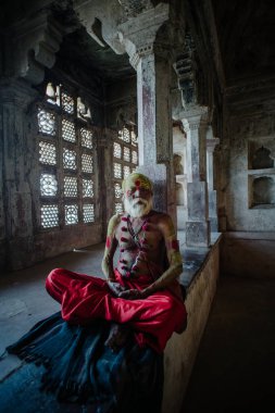Hindistan, Rajasthan, Mart 2014: tapınak içinde oturan Hindu rahip