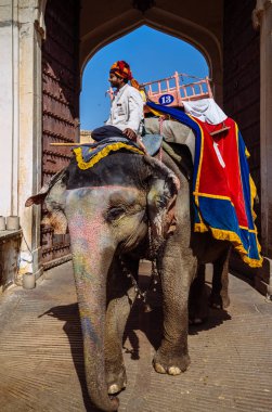 Adam sürme fil City