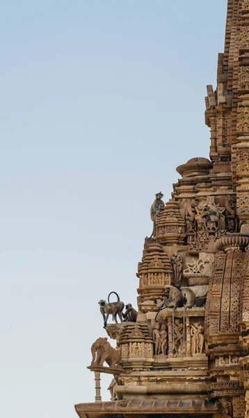 猴子坐在寺庙屋顶上 — 图库照片