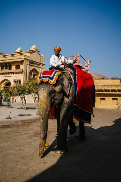 Adam sürme fil City