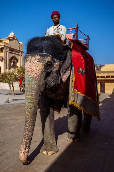 Muž na koni slon v městě — Stock fotografie