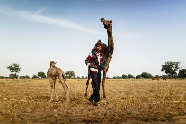 Uomo in piedi con cammello e vitello nel deserto — Foto Stock