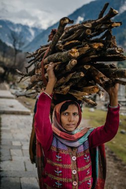 Kafasına yakacak odun taşıyan kadın