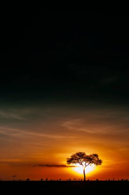 Ağaç ve hayvanların siluetleri