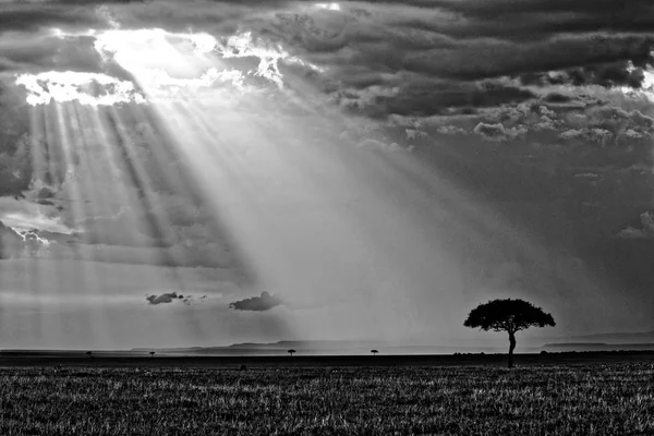 Sunlight through dark sky — Stock Photo, Image