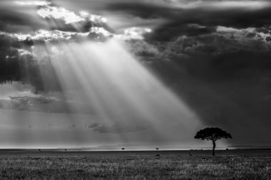 Karanlık gökyüzüne güneş ışığı