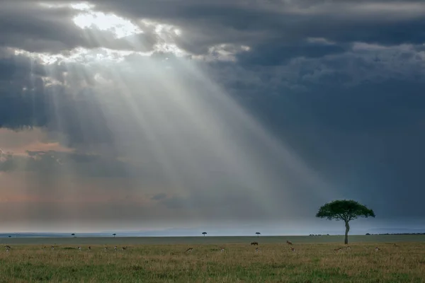 Sunlight through dark sky — Stock Photo, Image