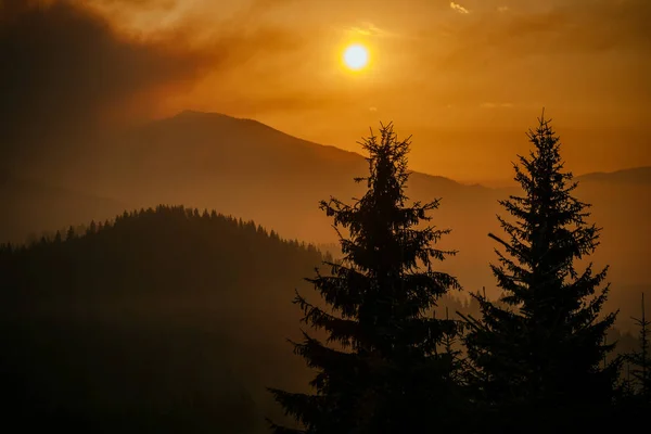 Foresta montana al tramonto — Foto Stock