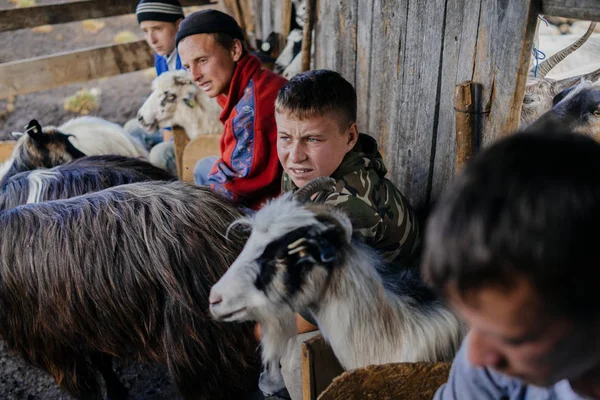 Hombres sentados cerca de cabras — Foto de Stock