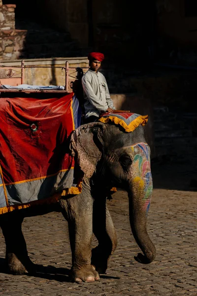 Muž na koni slon na ulici — Stock fotografie