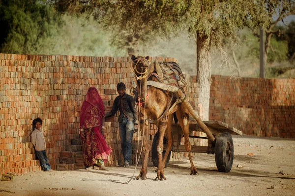 Frau und Kinder stehen neben Kamel — Stockfoto