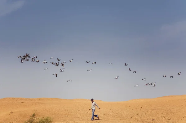 L'uomo che cammina nel deserto — Foto Stock