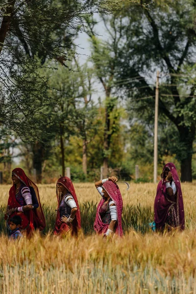 Cuatro mujeres caminando en el campo — Foto de Stock