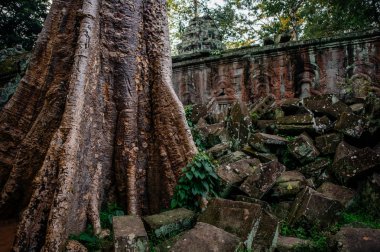 Antik Budist tapınağı kalıntıları