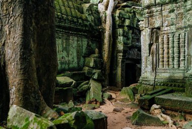 Yosun kaplı antik Budist tapınağı