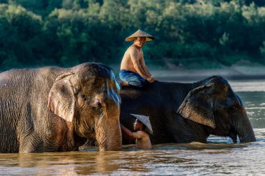Erkekler ve nehir geçiş filler