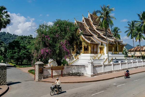 Budist tapınağı görünümünü gözlemleyerek
