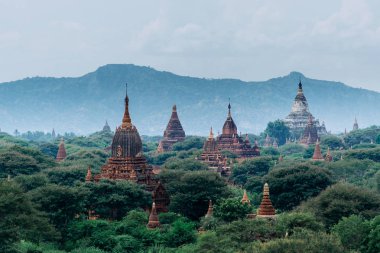 Ormandaki antik tapınak kompleksi