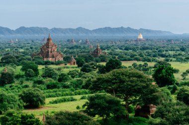 Ormandaki antik tapınak kompleksi
