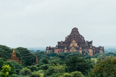 Ormandaki antik tapınak kompleksi