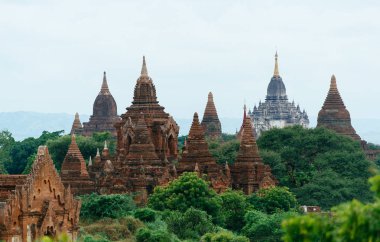 Ormandaki antik tapınak kompleksi