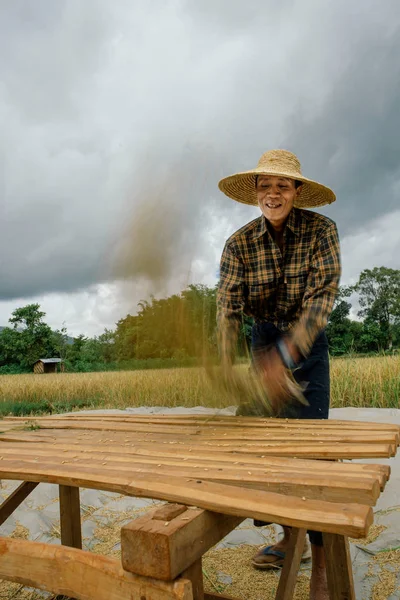 Hombre cosechando heno en el campo — Foto de Stock