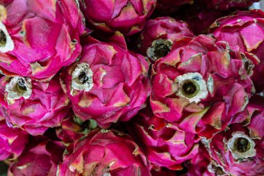 Dragon meyve yığını