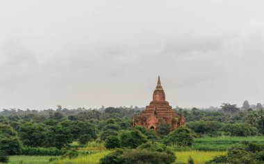 Ormandaki antik tapınak kompleksi