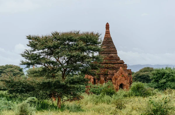 Ancient temple complex in forest — Stock Photo, Image