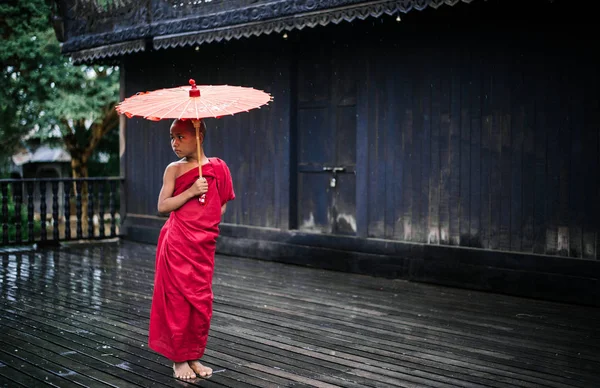 Şemsiye ile yürüyen Budist rahip