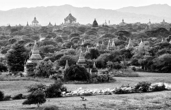 Observing view of ancient temple complex
