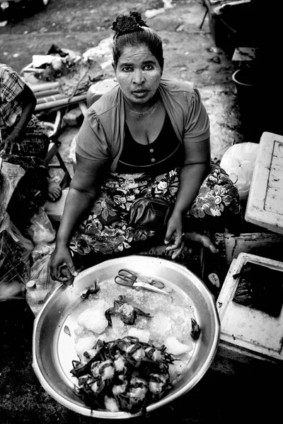 Woman preparing crabs — Stock Photo, Image