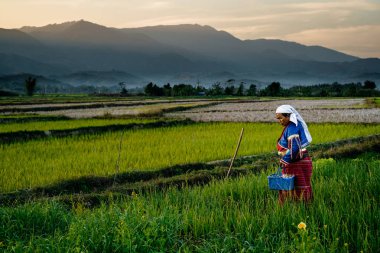Yürüyüş ve alanında çalışan kadın