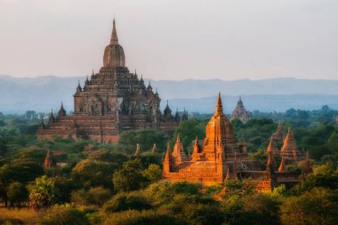 Ormandaki antik tapınak kompleksi